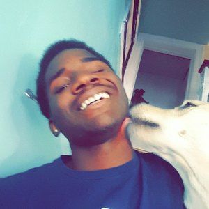 Meet your Posher, Donald